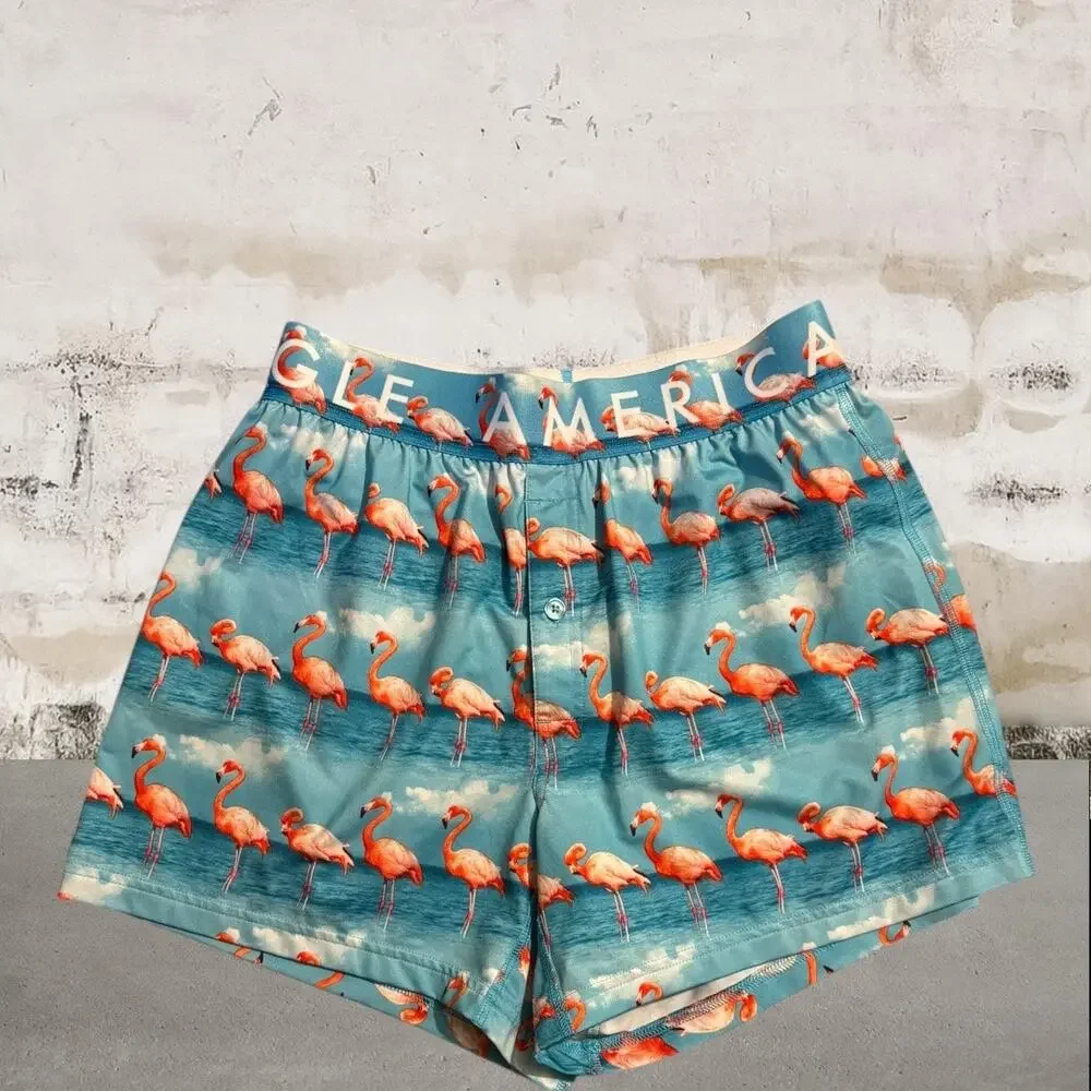American Eagle NWOT Flamingo's Boxer Flex Briefs Size Small